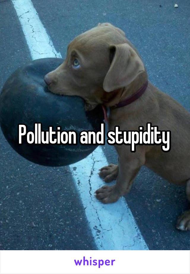 Pollution and stupidity 