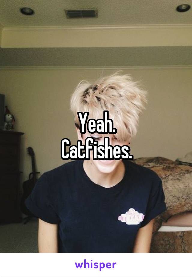 Yeah.
Catfishes.