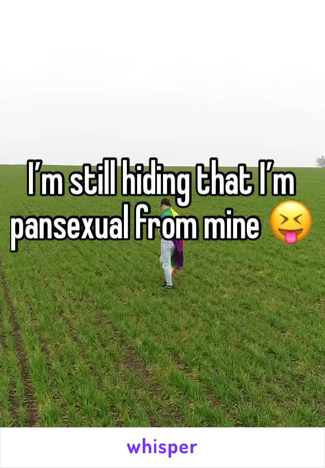 I’m still hiding that I’m pansexual from mine 😝
