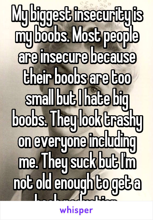 My biggest insecurity is my boobs. Most people are insecure because their boobs are too small but I hate big boobs. They look trashy on everyone including me. They suck but I'm not old enough to get a boob reduction.