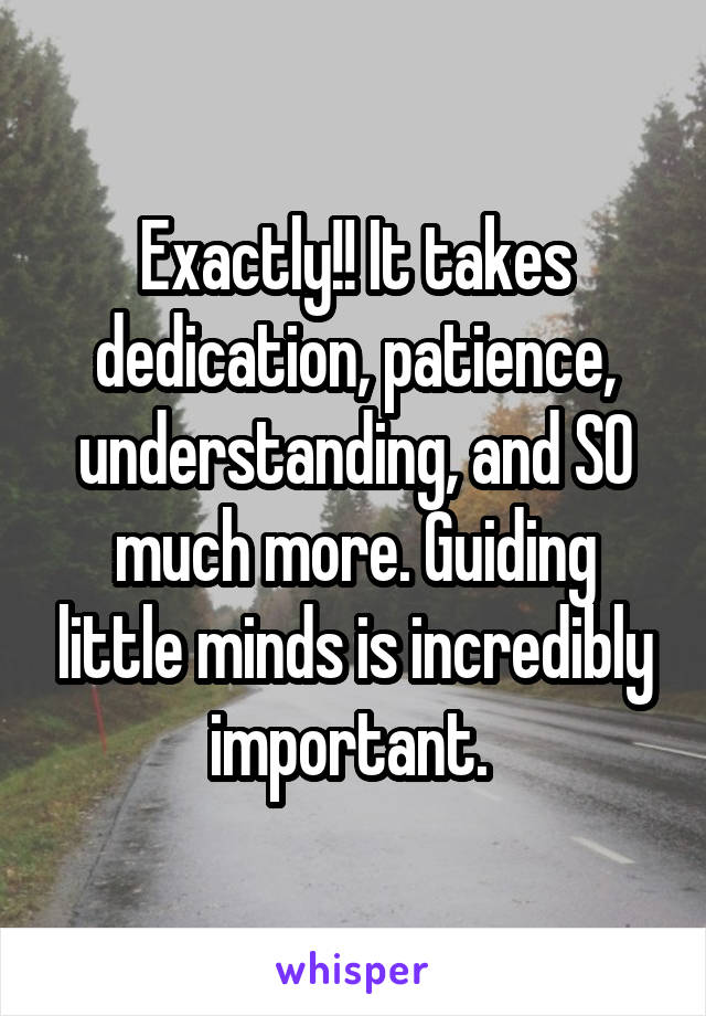 Exactly!! It takes dedication, patience, understanding, and SO much more. Guiding little minds is incredibly important. 