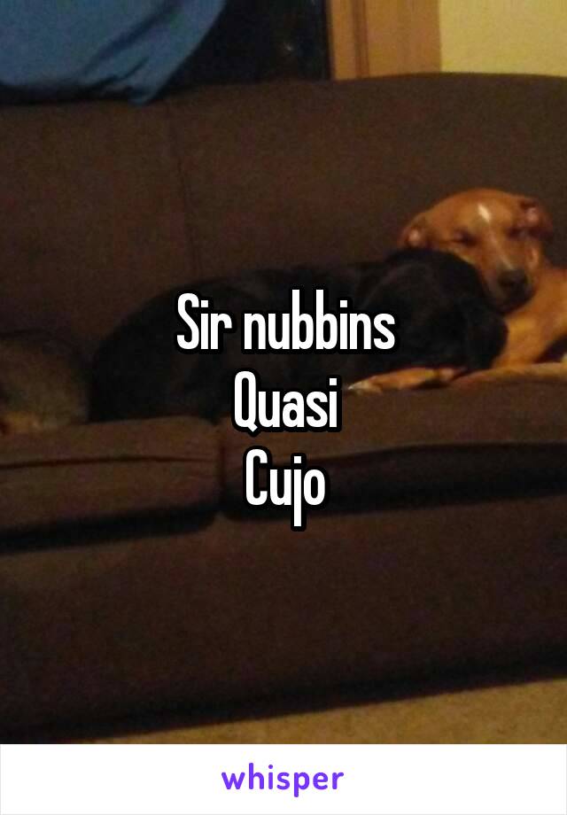 Sir nubbins
Quasi
Cujo