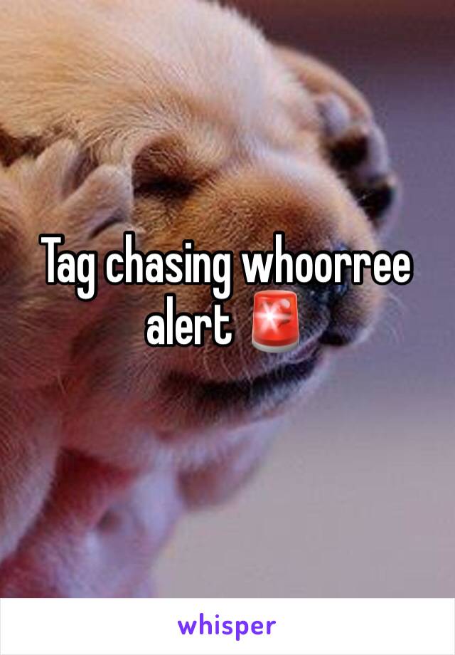 Tag chasing whoorree alert 🚨 