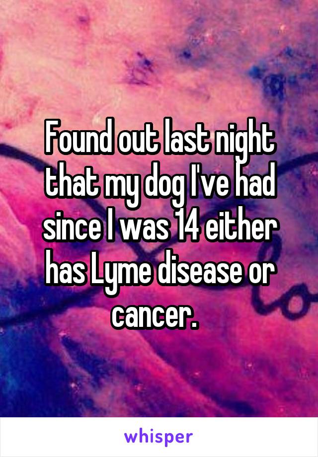 Found out last night that my dog I've had since I was 14 either has Lyme disease or cancer.  