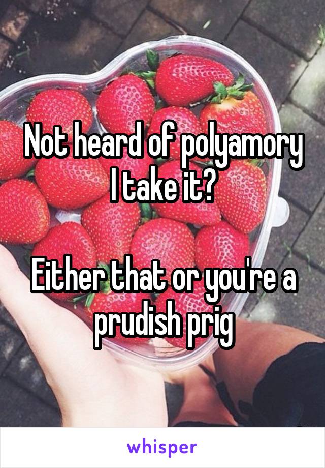 Not heard of polyamory I take it?

Either that or you're a prudish prig