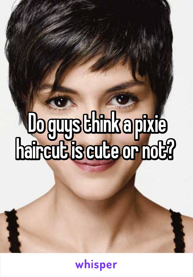 Do guys think a pixie haircut is cute or not? 