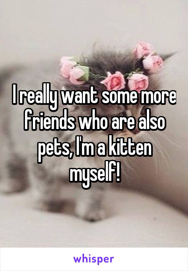I really want some more friends who are also pets, I'm a kitten myself!