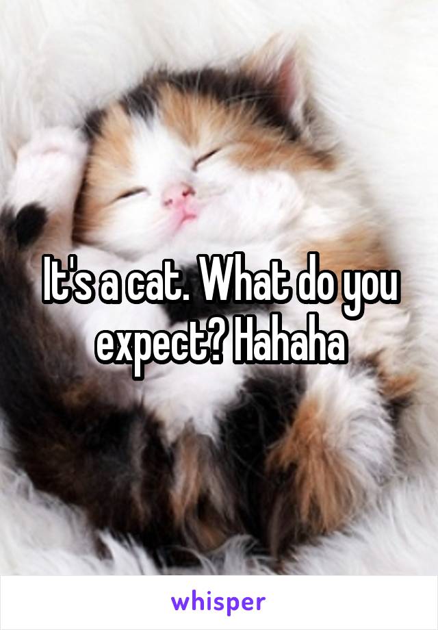 It's a cat. What do you expect? Hahaha