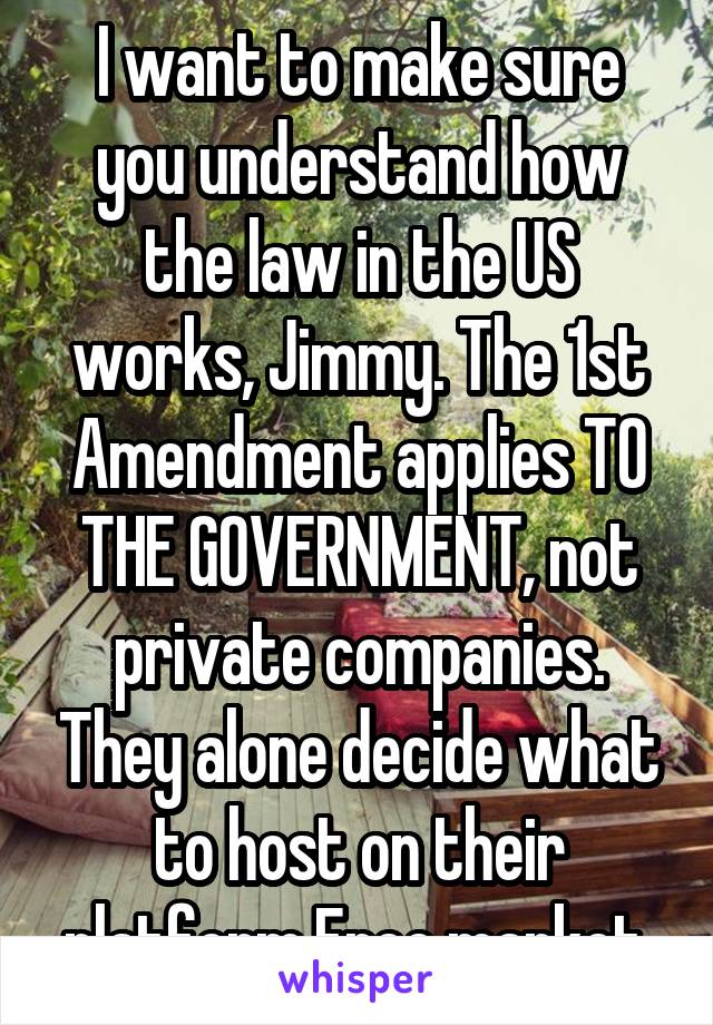I want to make sure you understand how the law in the US works, Jimmy. The 1st Amendment applies TO THE GOVERNMENT, not private companies. They alone decide what to host on their platform.Free market.