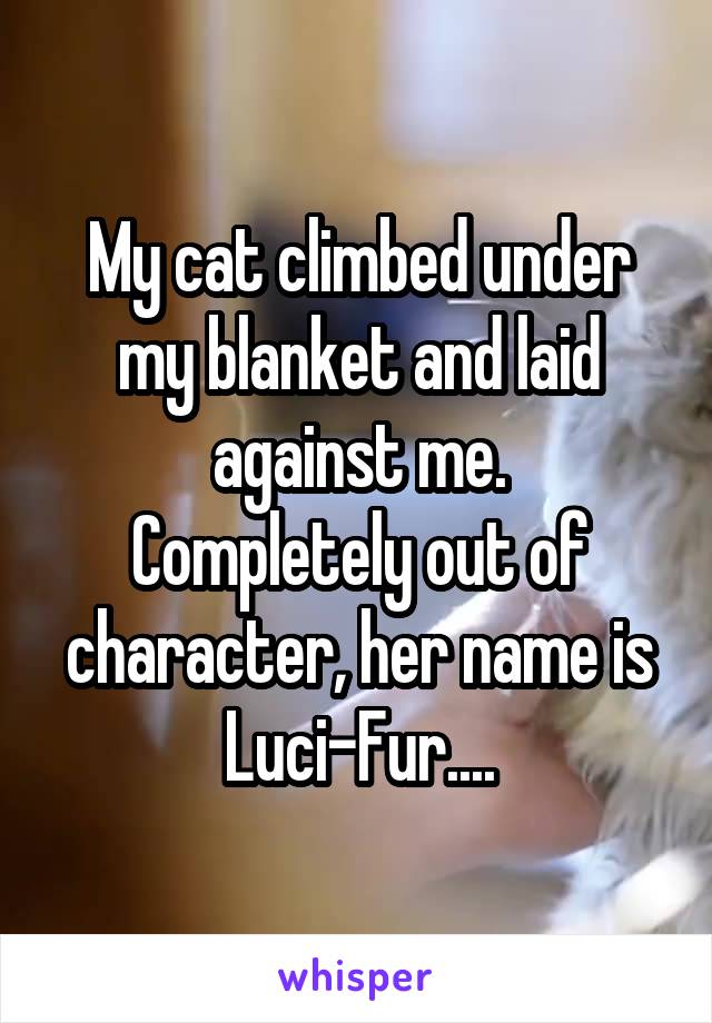 My cat climbed under my blanket and laid against me.
Completely out of character, her name is Luci-Fur....