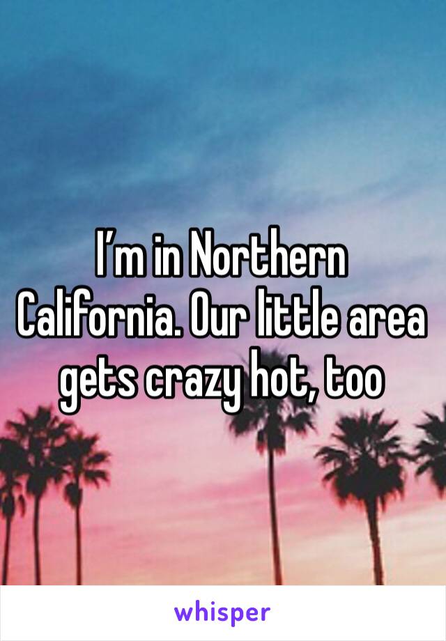 I’m in Northern California. Our little area gets crazy hot, too