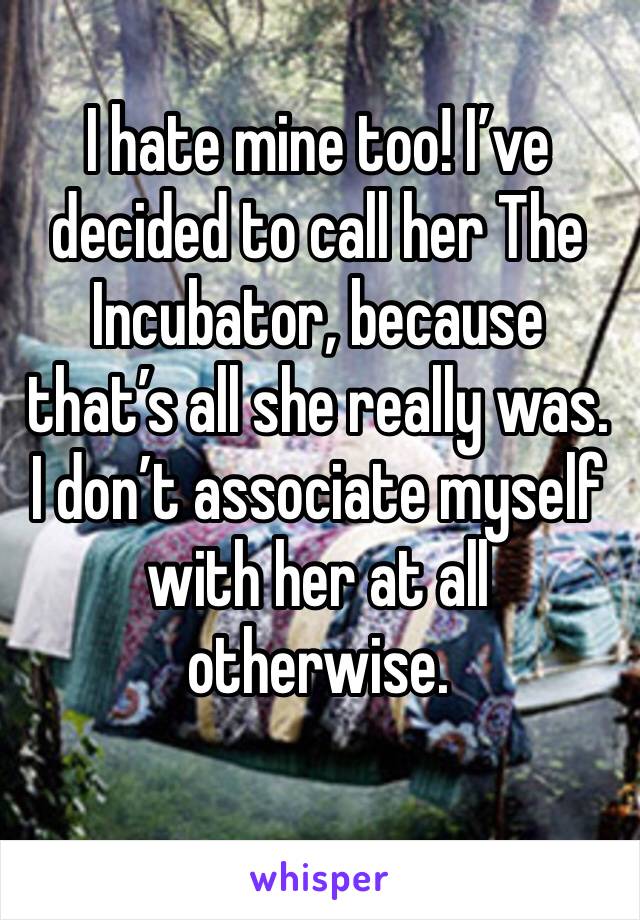 I hate mine too! I’ve decided to call her The Incubator, because that’s all she really was. I don’t associate myself with her at all otherwise.