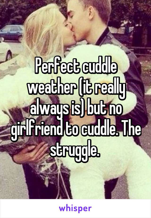 Perfect cuddle weather (it really always is) but no girlfriend to cuddle. The struggle. 