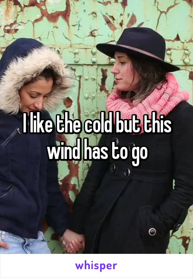 I like the cold but this wind has to go