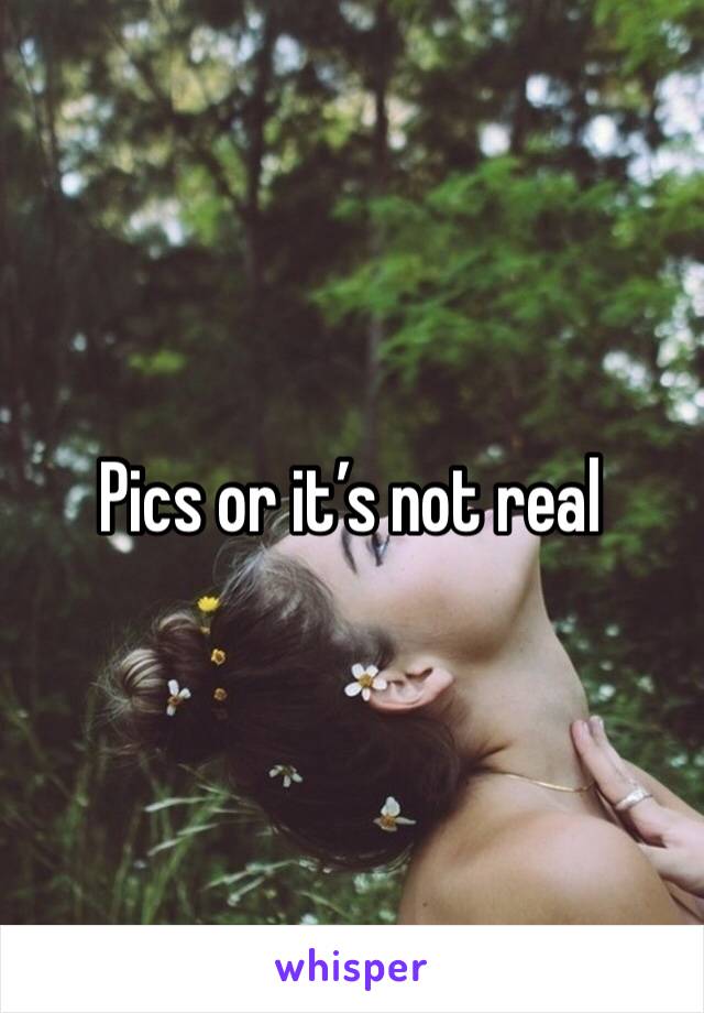 Pics or it’s not real