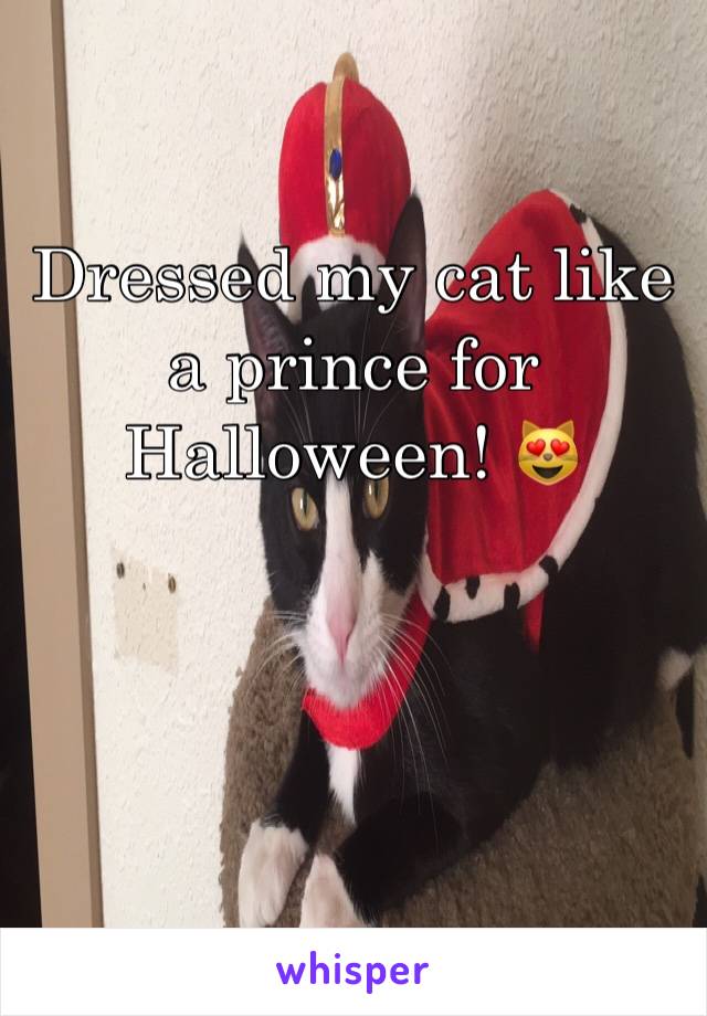 Dressed my cat like a prince for Halloween! 😻