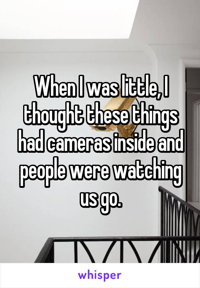 When I was little, I thought these things had cameras inside and people were watching us go.