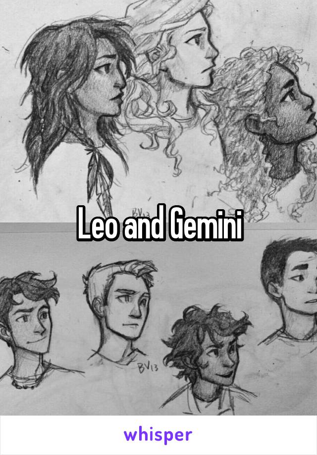 Leo and Gemini