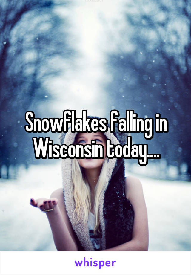 Snowflakes falling in Wisconsin today....