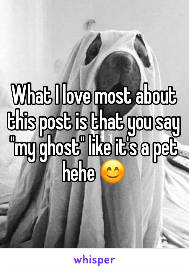 What I love most about this post is that you say "my ghost" like it's a pet hehe 😊