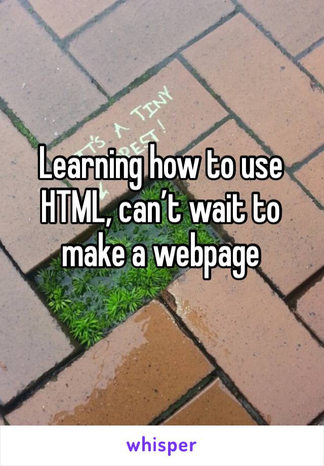 Learning how to use HTML, can’t wait to make a webpage