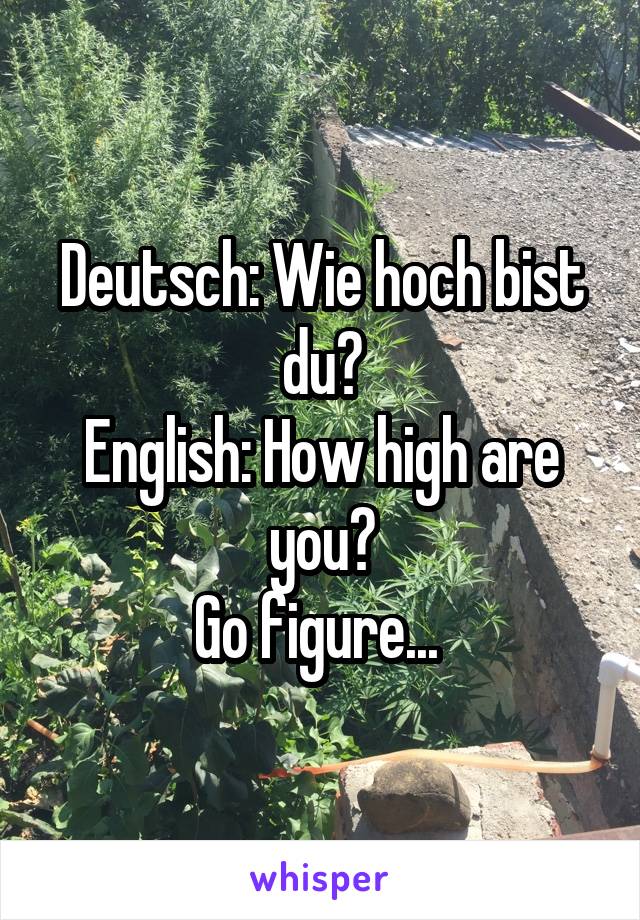 Deutsch: Wie hoch bist du?
English: How high are you?
Go figure... 