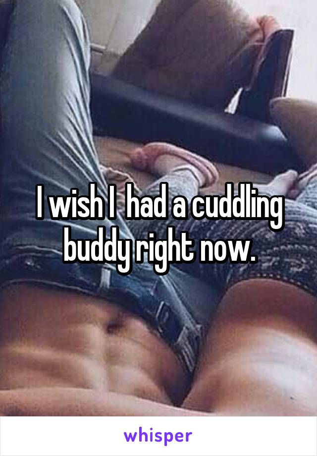 I wish I  had a cuddling buddy right now.