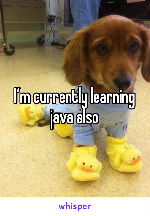 I’m currently learning java also