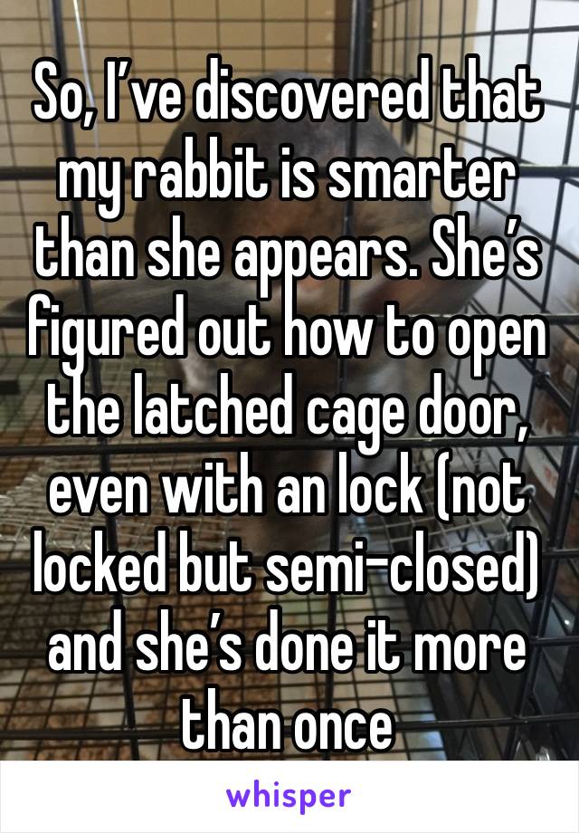 So, I’ve discovered that my rabbit is smarter than she appears. She’s figured out how to open the latched cage door, even with an lock (not locked but semi-closed) and she’s done it more than once