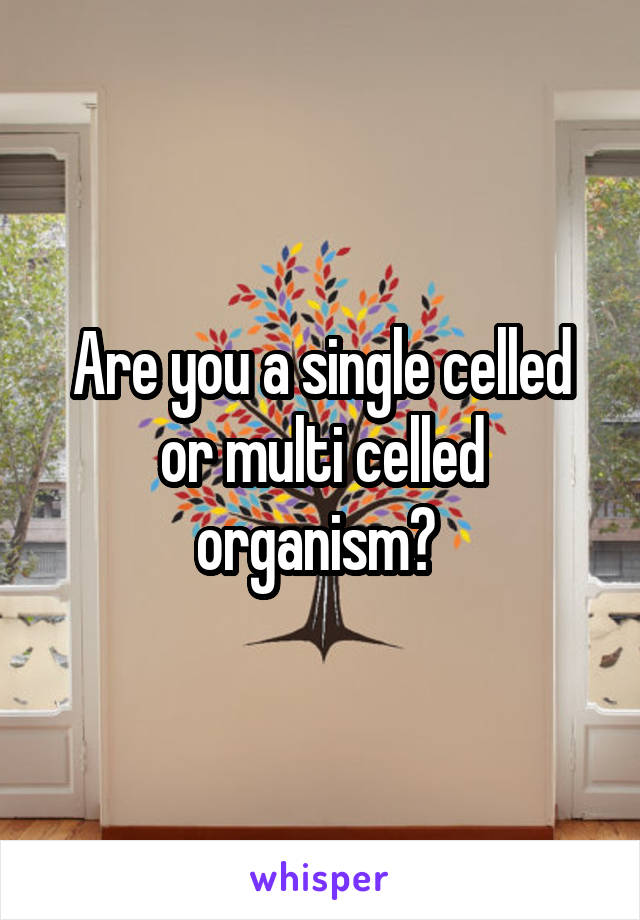 Are you a single celled or multi celled organism? 