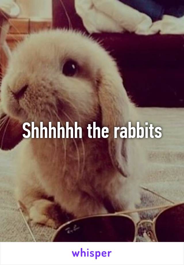Shhhhhh the rabbits