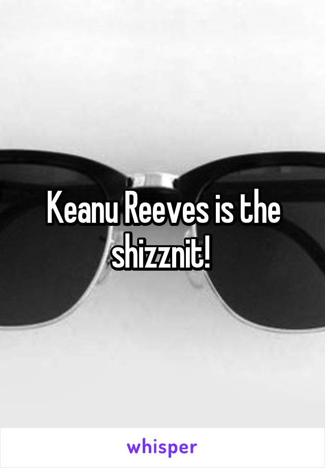 Keanu Reeves is the shizznit! 