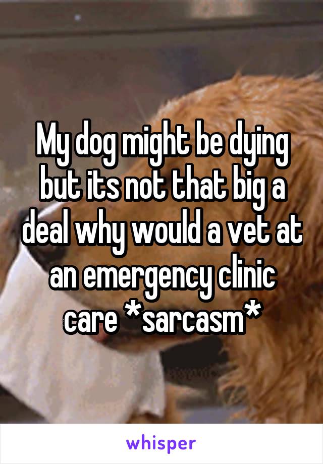 My dog might be dying but its not that big a deal why would a vet at an emergency clinic care *sarcasm*