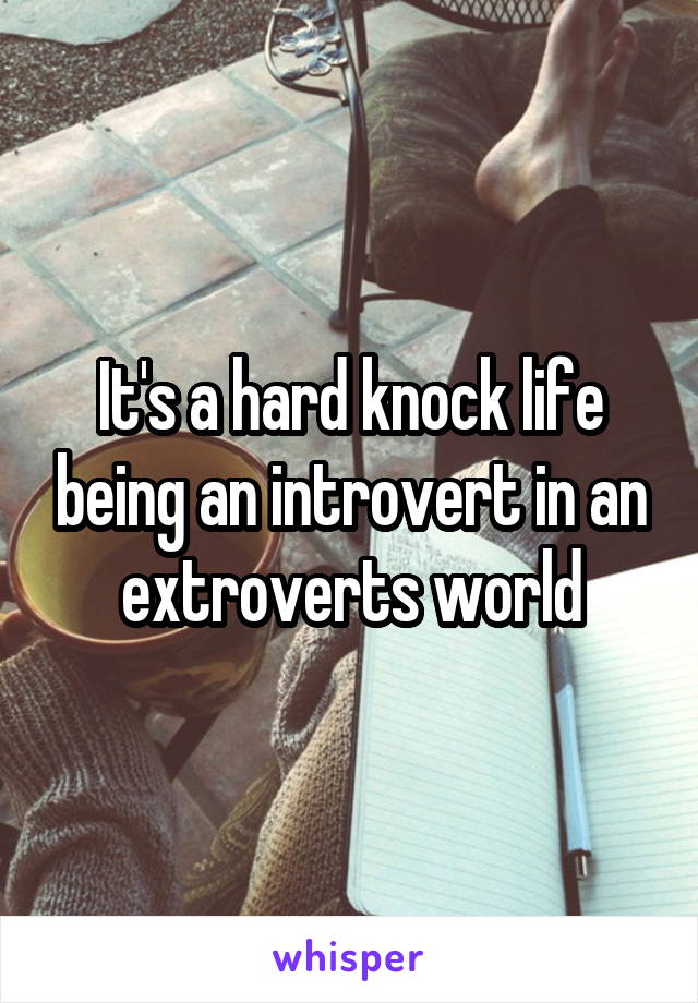 It's a hard knock life being an introvert in an extroverts world