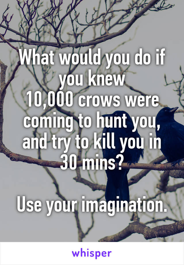 What would you do if you knew
10,000 crows were coming to hunt you, and try to kill you in 30 mins?

Use your imagination.