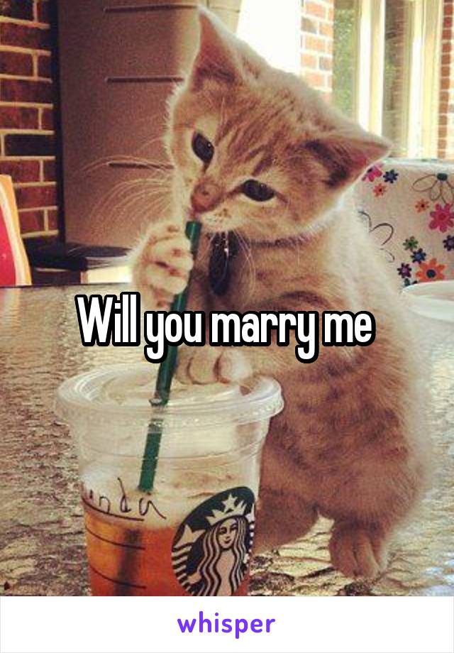 Will you marry me 