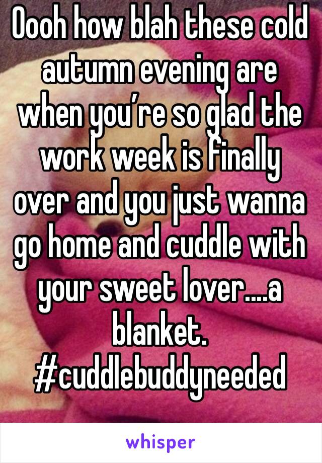 Oooh how blah these cold autumn evening are when you’re so glad the work week is finally over and you just wanna go home and cuddle with your sweet lover....a blanket.
#cuddlebuddyneeded 