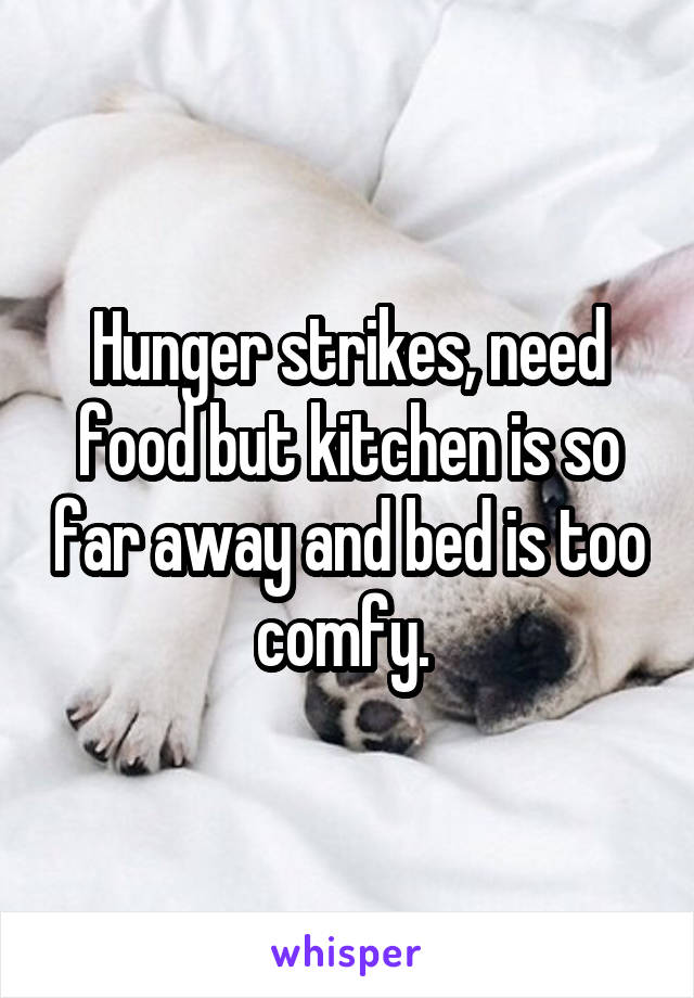 Hunger strikes, need food but kitchen is so far away and bed is too comfy. 
