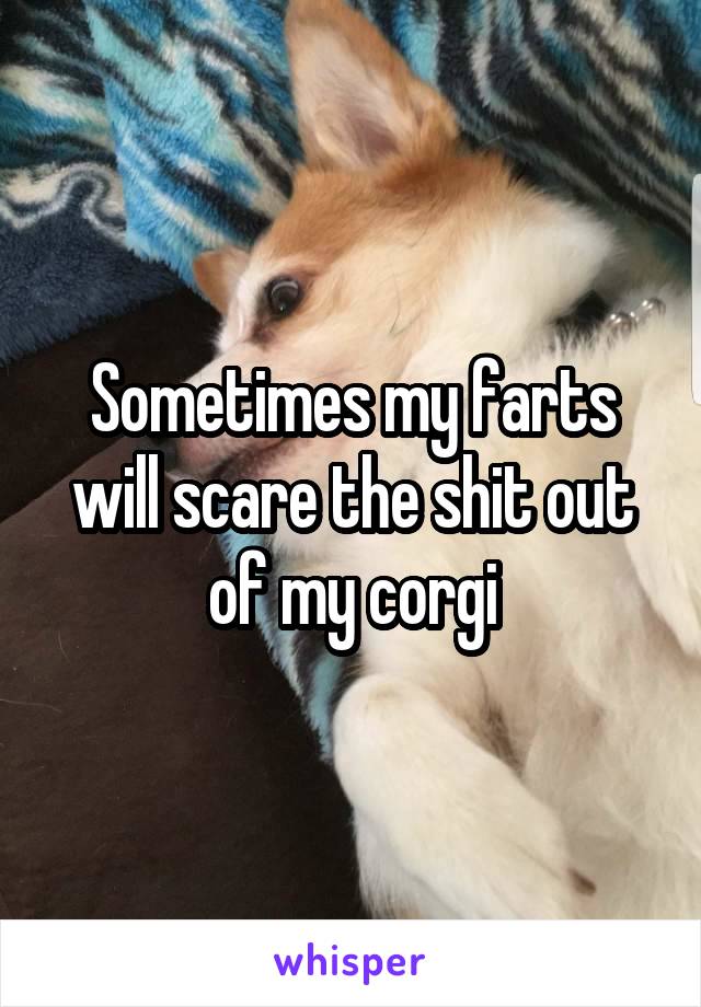 Sometimes my farts will scare the shit out of my corgi