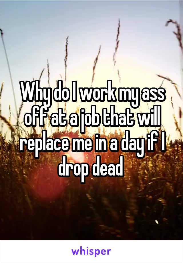 Why do I work my ass off at a job that will replace me in a day if I drop dead 
