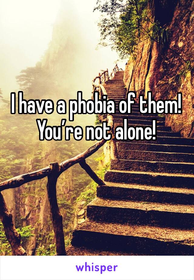 I have a phobia of them! You’re not alone! 