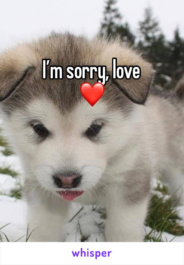 I’m sorry, love
❤️