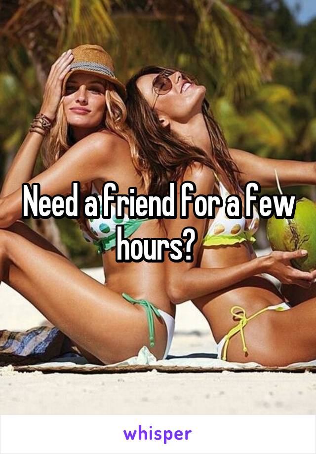Need a friend for a few hours? 