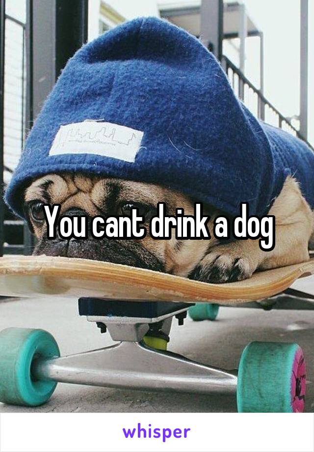 You cant drink a dog