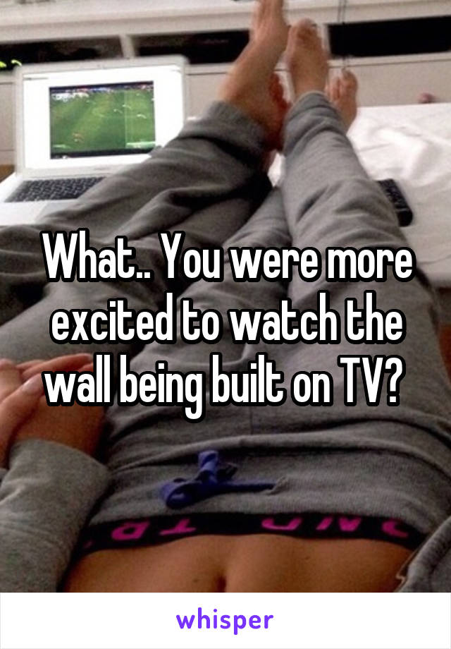 What.. You were more excited to watch the wall being built on TV? 