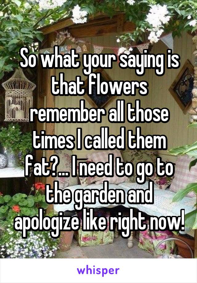 So what your saying is that flowers remember all those times I called them fat?... I need to go to the garden and apologize like right now!