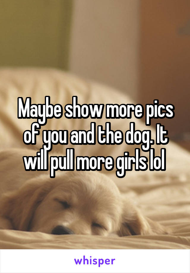 Maybe show more pics of you and the dog. It will pull more girls lol 