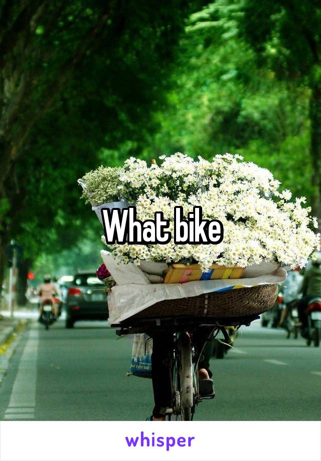 What bike
