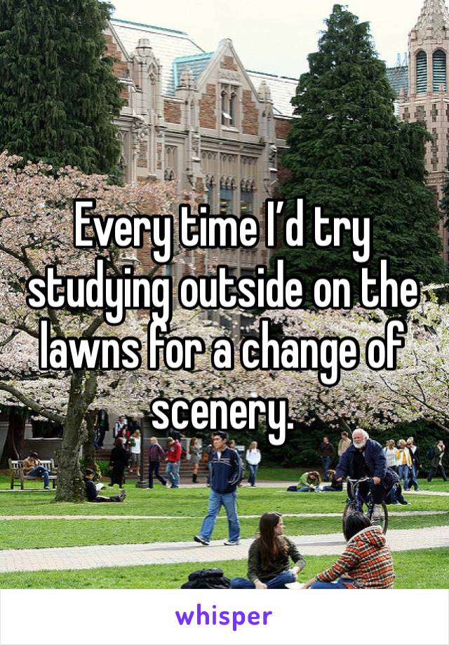 Every time I’d try studying outside on the lawns for a change of scenery. 
