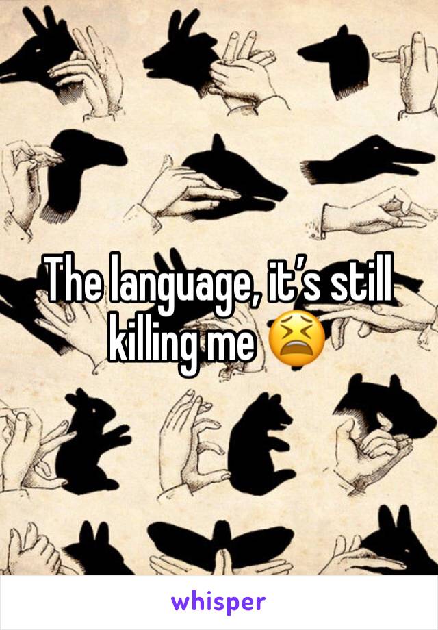 The language, it’s still killing me 😫